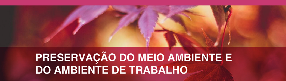 Preservação do meio ambiente e ambiente de trabalho